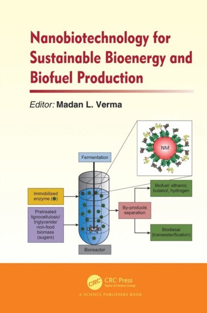 Madan L. Verma - Nanobiotechnology for Sustainable Bioenergy and Biofuel Production, E-bok