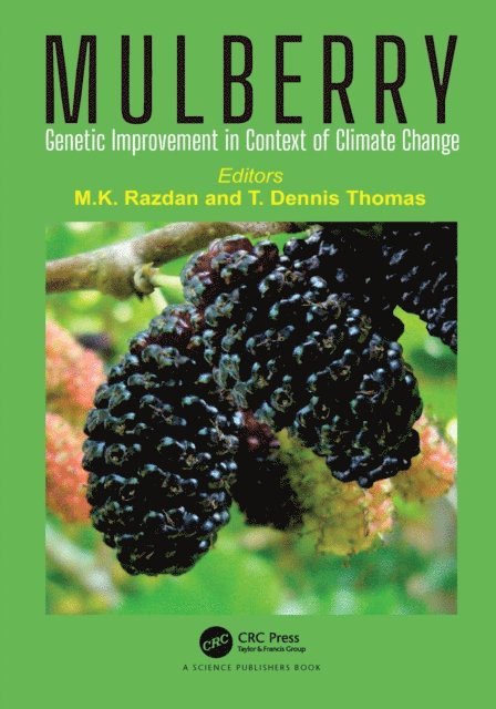 Dennis Thomas, Maharaj Krishen Razdan - Mulberry, E-bok