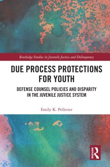 Emily K. Pelletier - Due Process Protections for Youth, E-bok