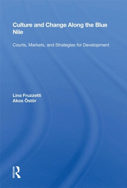 Lina Fruzzetti - Culture And Change Along The Blue Nile, E-bok