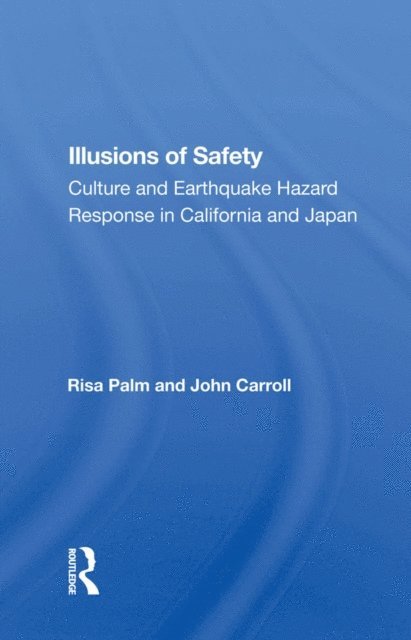 Risa Palm - Illusions of Safety, E-bok