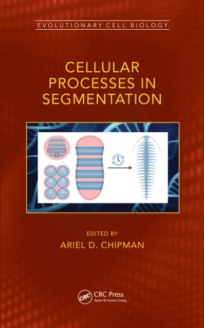 Ariel Chipman - Cellular Processes in Segmentation, E-bok