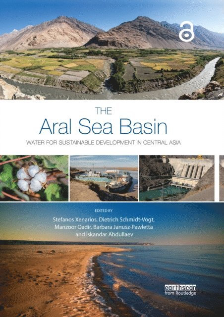 Iskandar Abdullaev, Barbara Janusz-Pawletta, Manzoor Qadir, Dietrich Schmidt-Vogt, Stefanos Xenarios - Aral Sea Basin, E-bok