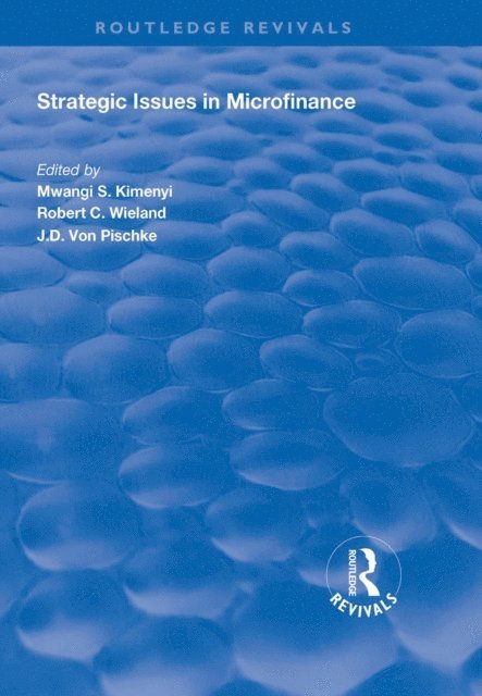 Robert C. Wieland, Mwangi S. Kimenyi - Strategic Issues in Microfinance, E-bok