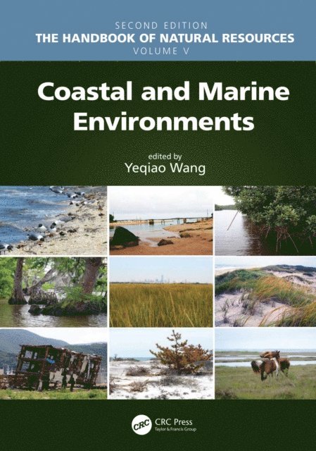 Yeqiao Wang - Coastal and Marine Environments, E-bok