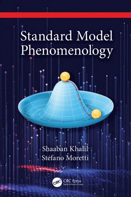 Stefano Moretti, Shaaban Khalil - Standard Model Phenomenology, E-bok