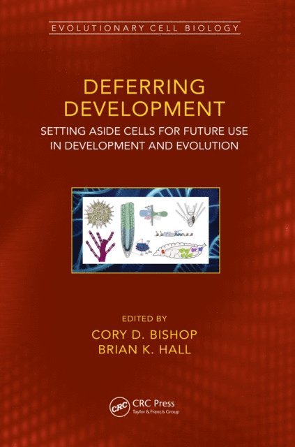 Brian K. Hall, Cory Douglas Bishop - Deferring Development, E-bok