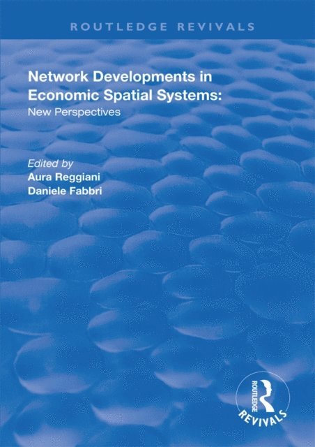Daniele Fabbri, Aura Reggiani - Network Developments in Economic Spatial Systems, E-bok