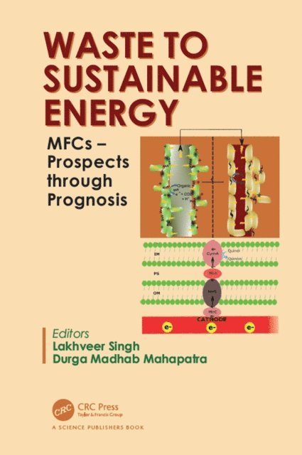 Durga Madhab Mahapatra, Lakhveer Singh - Waste to Sustainable Energy, E-bok