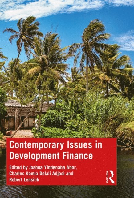 Robert Lensink, Charles Komla Delali Adjasi, Joshua Yindenaba Abor - Contemporary Issues in Development Finance, E-bok