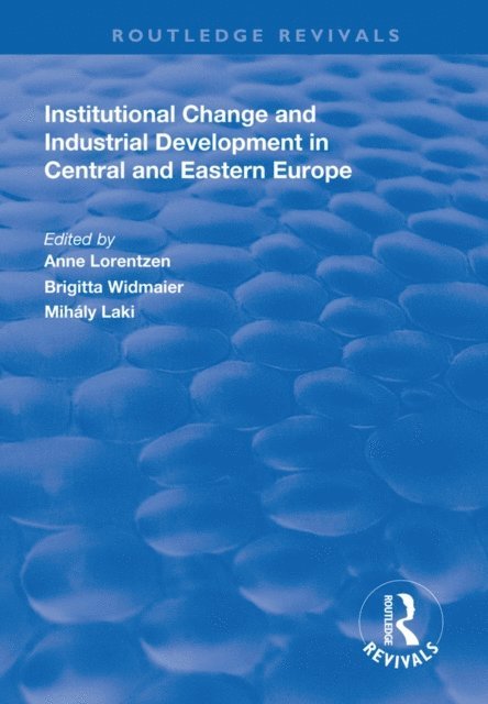 Mihaly Laki, Brigitta Widmaier, Anne Lorentzen - Institutional Change and Industrial Development in Central and Eastern Europe, E-bok