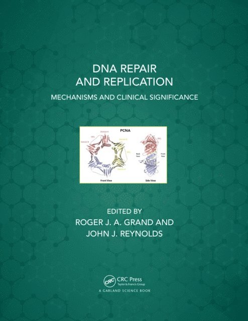 John J. Reynolds, Roger J. A. Grand - DNA Repair and Replication, E-bok