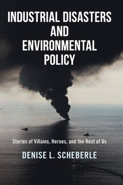 Denise L. Scheberle - Industrial Disasters and Environmental Policy, E-bok