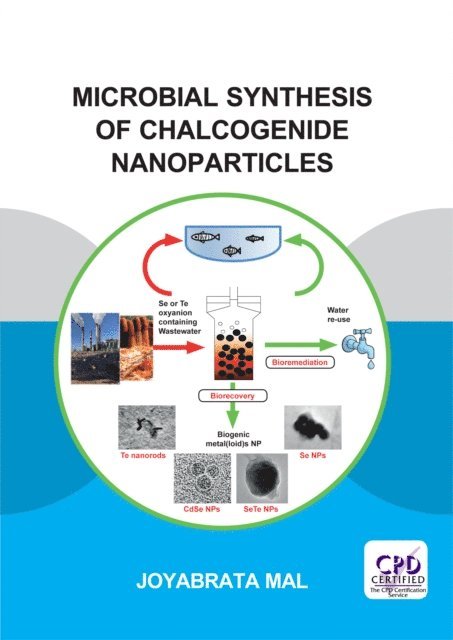 Joyabrata Mal - Microbial Synthesis of Chalcogenide Nanoparticles, E-bok
