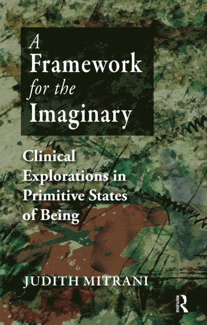 Judith L. Mitrani - Framework for the Imaginary, E-bok