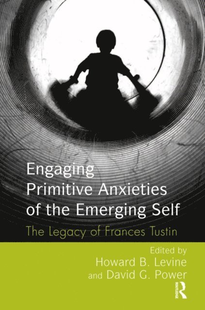 David G. Power, Howard B. Levine - Engaging Primitive Anxieties of the Emerging Self, E-bok