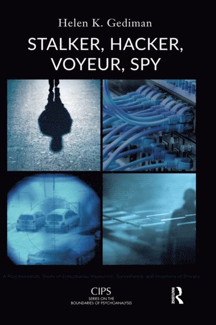 Helen K. Gediman - Stalker, Hacker, Voyeur, Spy, E-bok