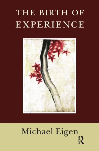 Michael Eigen - Birth of Experience, E-bok