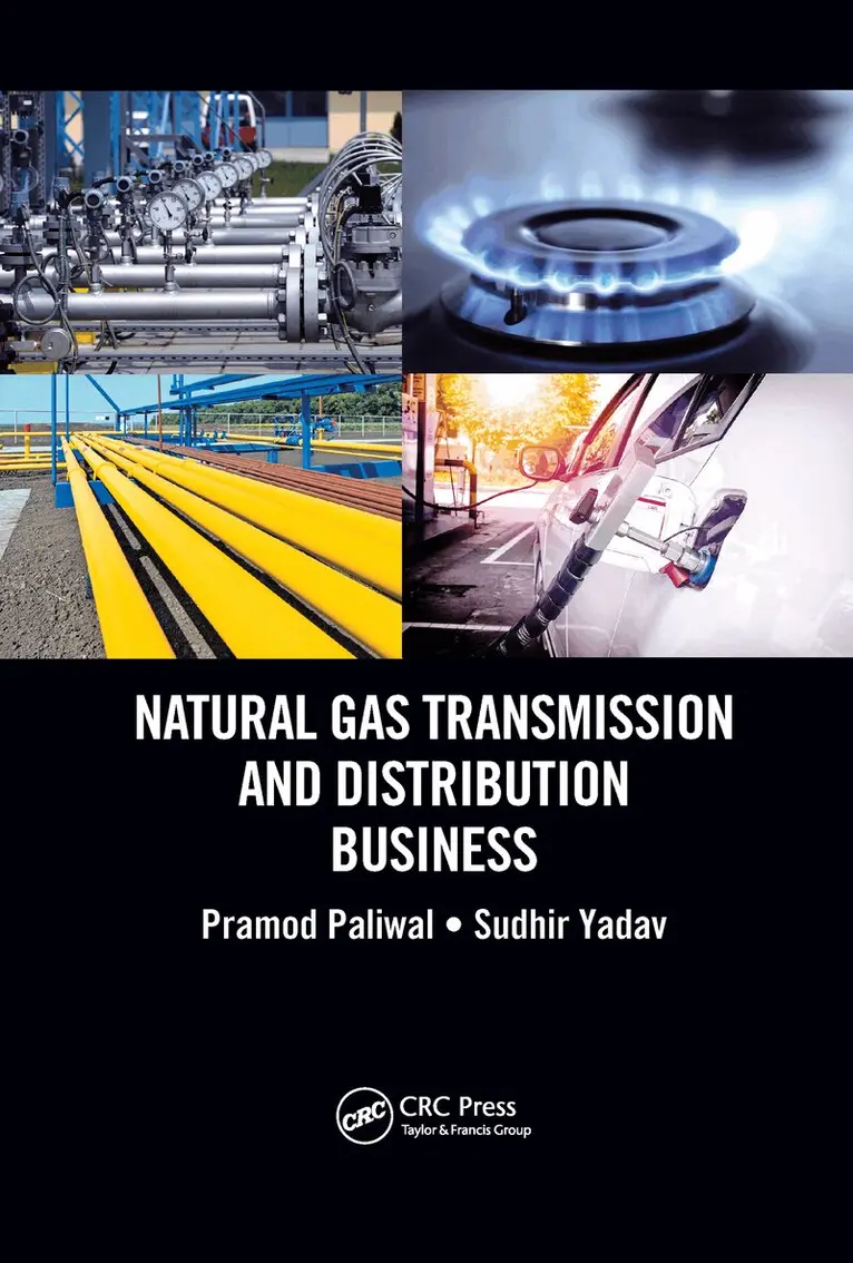 Pramod Paliwal, Sudhir Yadav - Natural Gas Transmission and Distribution Business, E-bok. Tillgänglighet: Lägg i varukorg