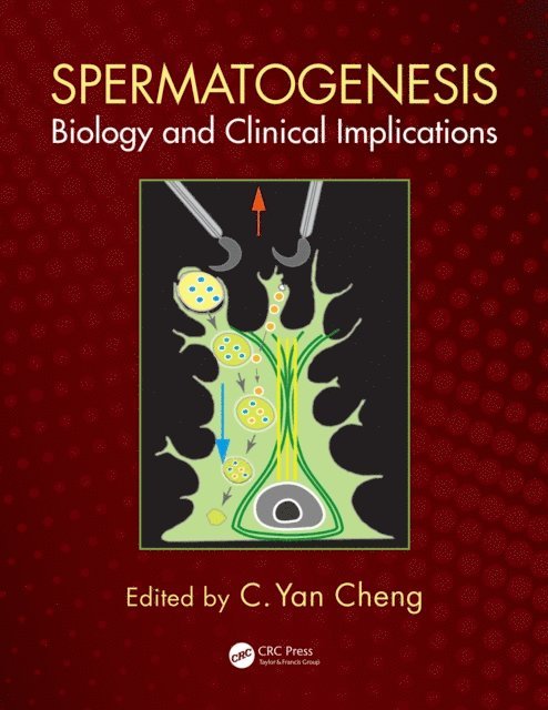 C. Yan Cheng - Spermatogenesis, E-bok