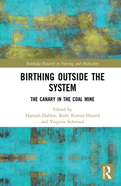 Virginia Schmied, Bashi Kumar-Hazard, Hannah Dahlen - Birthing Outside the System, E-bok