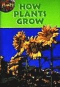 How Plants Grow: Big Book