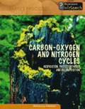 Carbon-oxygen and Nitrogen Cycles