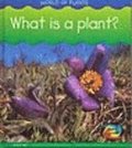 What Is A Plant?