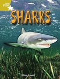 Rigby Star Independent Year 2 Gold Non Fiction Sharks Single