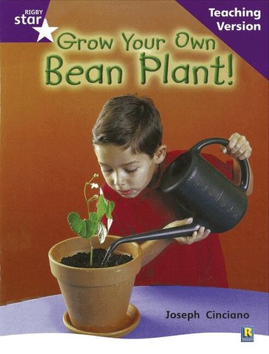 Rigby Star Non-fiction Guided Reading Purple Level: Grow your own bean Teaching Version, Häftad