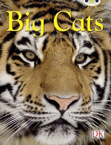 Bug Club Independent Non Fiction Year 3 Brown B Big Cats