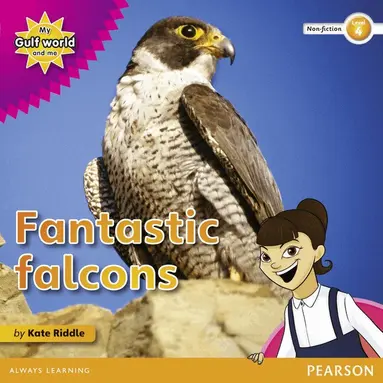 Kate Riddle - My Gulf World and Me Level 4 non-fiction reader: Fantastic falcons, Häftad