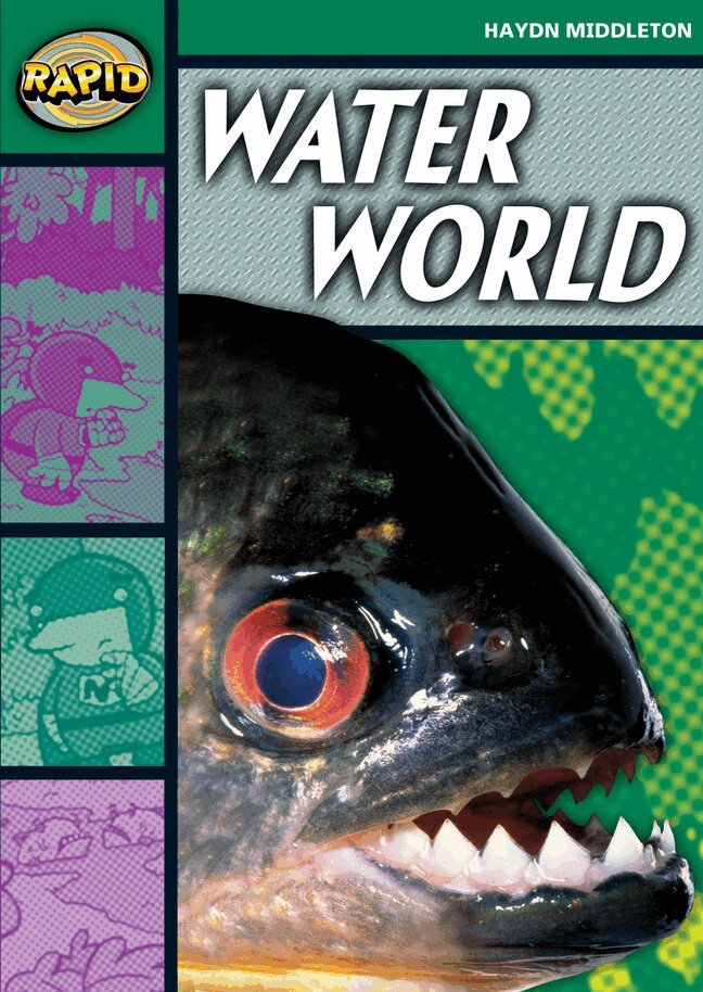 Haydn Middleton - Rapid Reading: Water World (Stage 5 Level 5B), Häftad