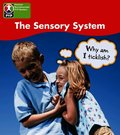 PYP L4 Sensory System 6PK