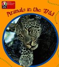 Primary Years Programme Level 1 Animals in the Wild 6Pack
