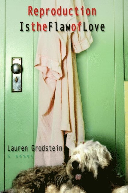 Lauren Grodstein - Flaw of Love, E-bok
