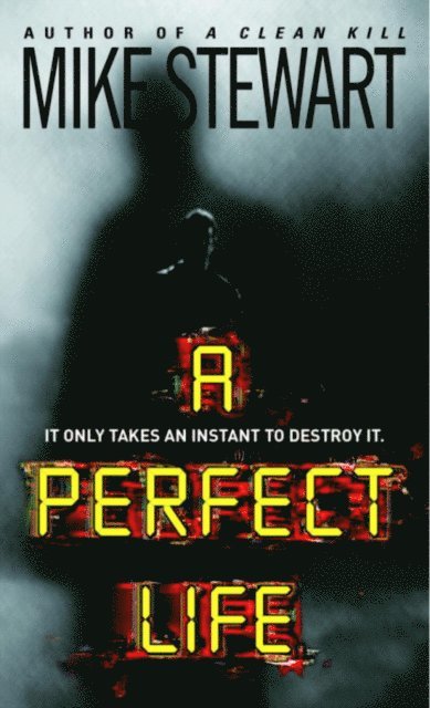 Mike Stewart - Perfect Life, E-bok
