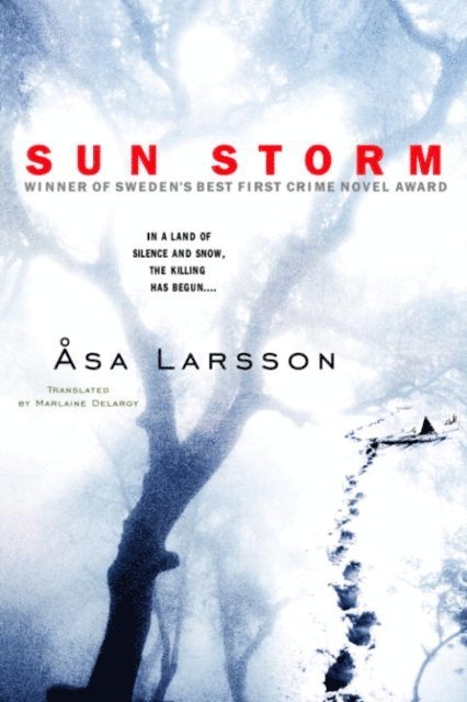 Asa Larsson - Sun Storm, E-bok