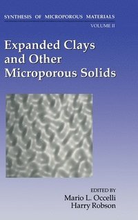 Synthesis of Microporous Materials: v. 2 Expanded C1 and Other Microporous Solids