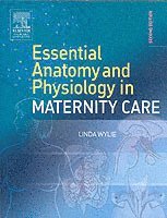Essential Anatomy & Physiology in Maternity Care