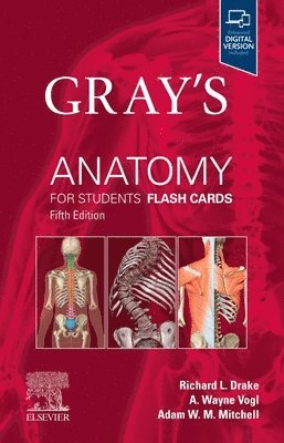 Gray's Anatomy for Students Flash Cards av Richard L Drake, A Wayne Vogl, Adam W M Mitchell, Richard L Drake, A Wayne Vogl