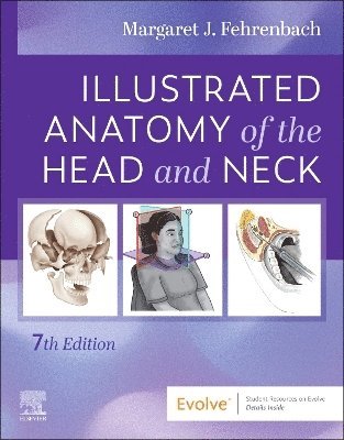 Margaret J. Fehrenbach - Illustrated Anatomy of the Head and Neck, Häftad. Tillgänglighet: Lägg till
