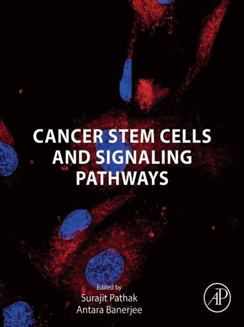 Antara Banerjee, Surajit Pathak - Cancer Stem Cells and Signaling Pathways, E-bok