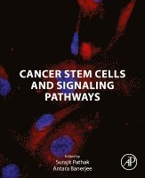 Surajit Pathak, Antara Banerjee - Cancer Stem Cells and Signaling Pathways, Häftad