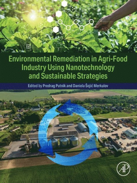 Daniela Sojic Merkulov, Predrag Putnik - Environmental Remediation in Agri-Food Industry Using Nanotechnology and Sustainable Strategies, E-bok