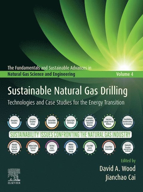 Jianchao Cai, David A. Wood - Sustainable Natural Gas Drilling, E-bok