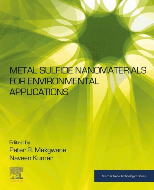 Naveen Kumar, Peter R. Makgwane - Metal Sulfide Nanomaterials for Environmental Applications, E-bok
