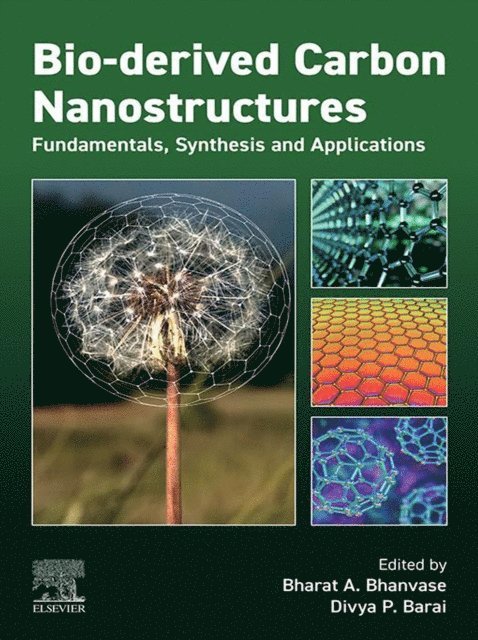 Divya Prakash Barai, Bharat Apparao Bhanvase - Bio-derived Carbon Nanostructures, E-bok