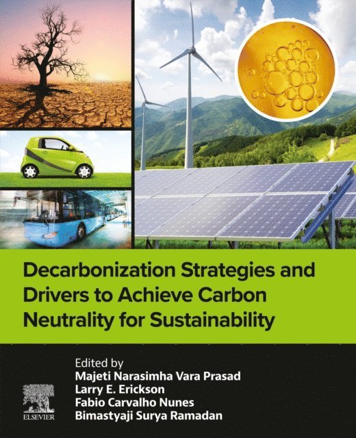 Bimastyaji Surya Ramadan, Fabio Carvalho Nunes, Larry Erickson, Majeti Narasimha Vara Prasad - Decarbonization Strategies and Drivers to Achieve Carbon Neutrality for Sustainability, E-bok