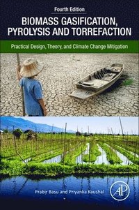 Biomass Gasification, Pyrolysis, and Torrefaction